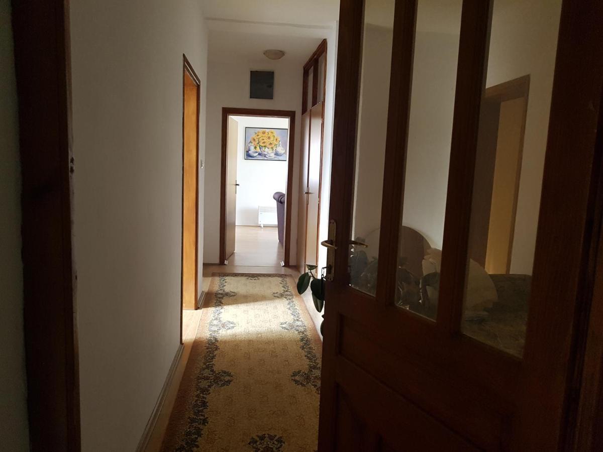 Apartman Jovanovic Apartment Bajina Basta Bagian luar foto