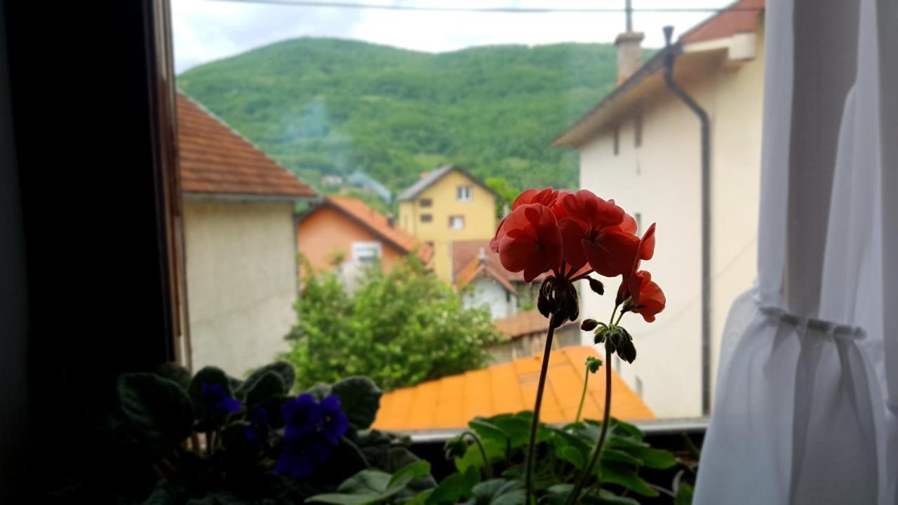 Apartman Jovanovic Bajina Basta Bagian luar foto